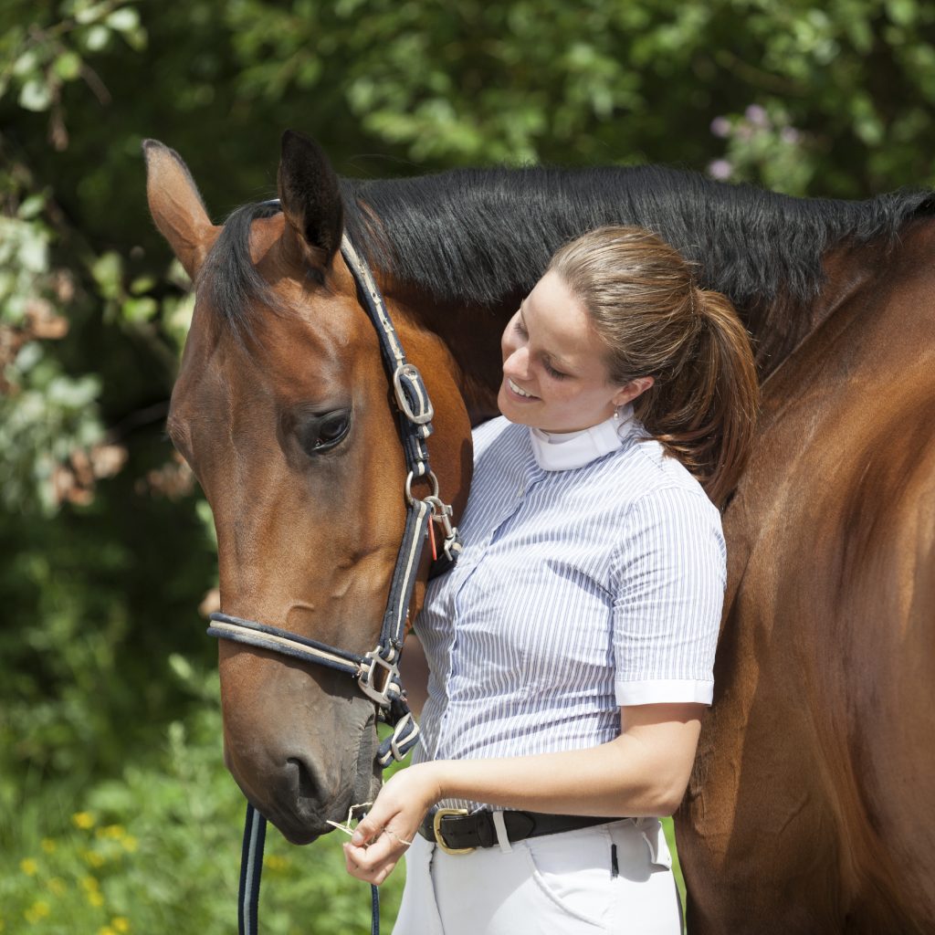 Horse Behaviour and Safety