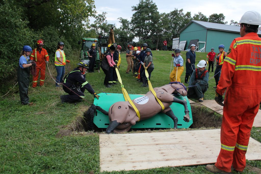 Large Animal Emergency Rescue crew practice on Equine Guelph horse mannequin