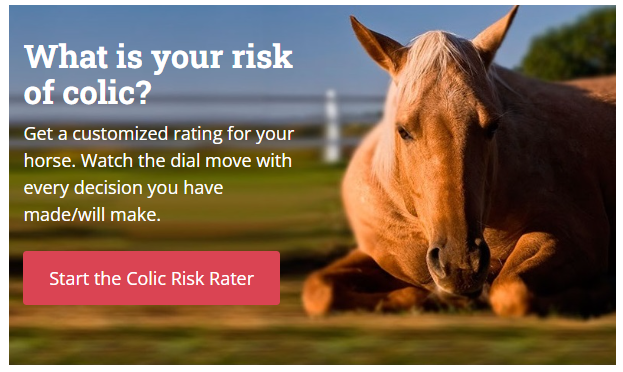 Reduce your colic risk with Equine Guelph's Colic Risk Rater tol