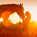 A lady and her horse in the sunset