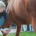 Dr. Melissa McKee, Instructor, Racehorse Injury/Lameness Prevention & Care course