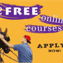 Equine Guelph offers tuition award