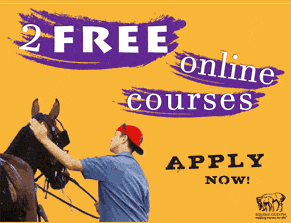 Equine Guelph offers tuition award