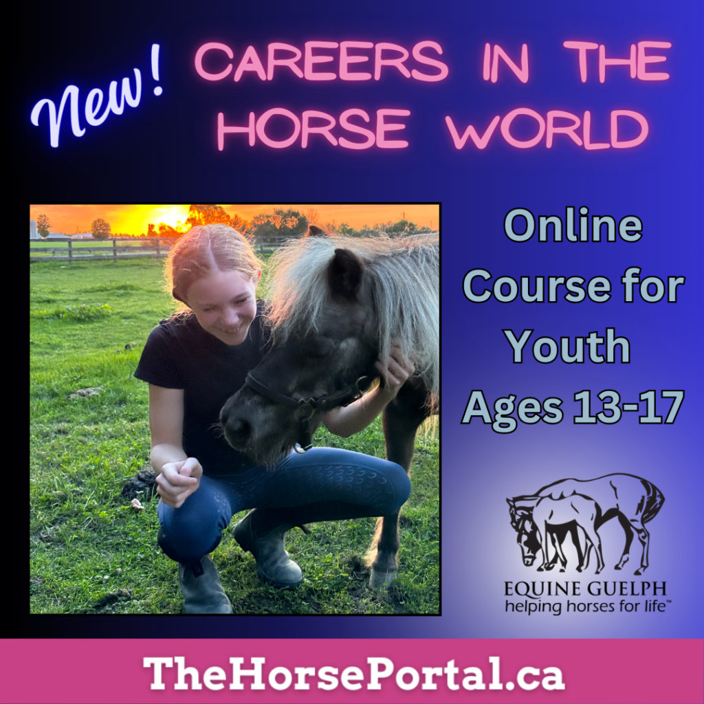 Youth course - Careers in the Horse World