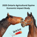 Ontario Agricultural Equine Economic Impact Study