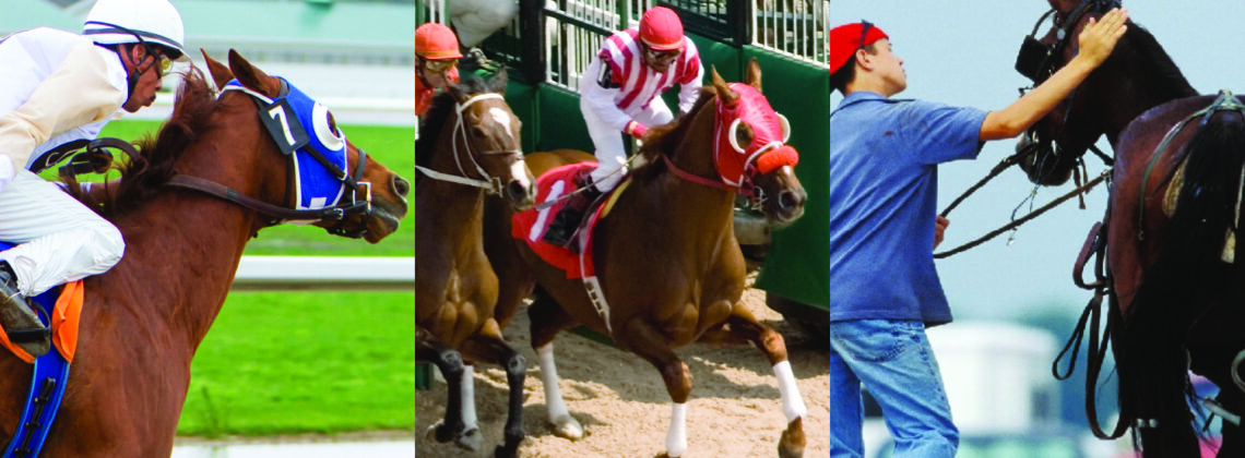 3 racing disciplines