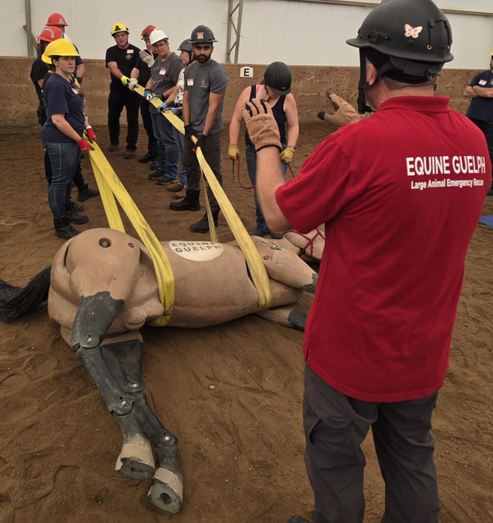 Victor MacPherson provided instruction for a sideways drag large animal emergency rescue technique