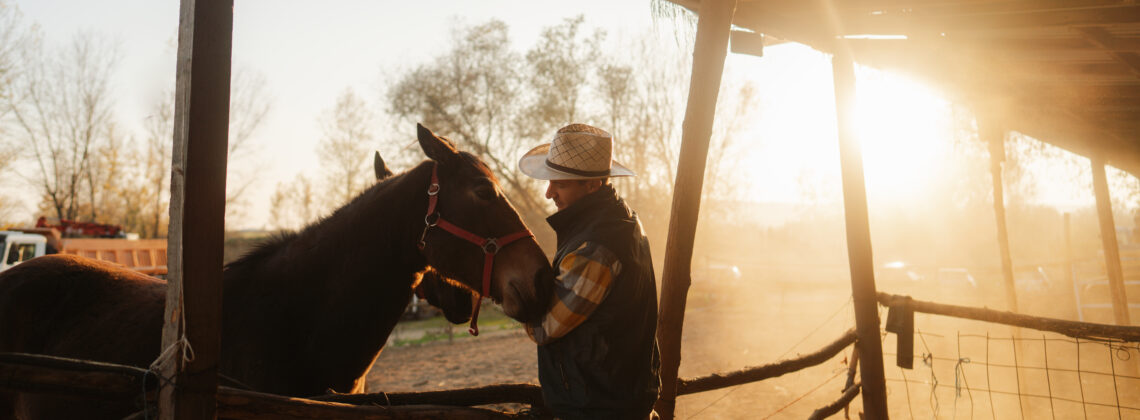 Man standing at fence at sunset with horse
