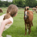 girl leaning over fence approaching horse