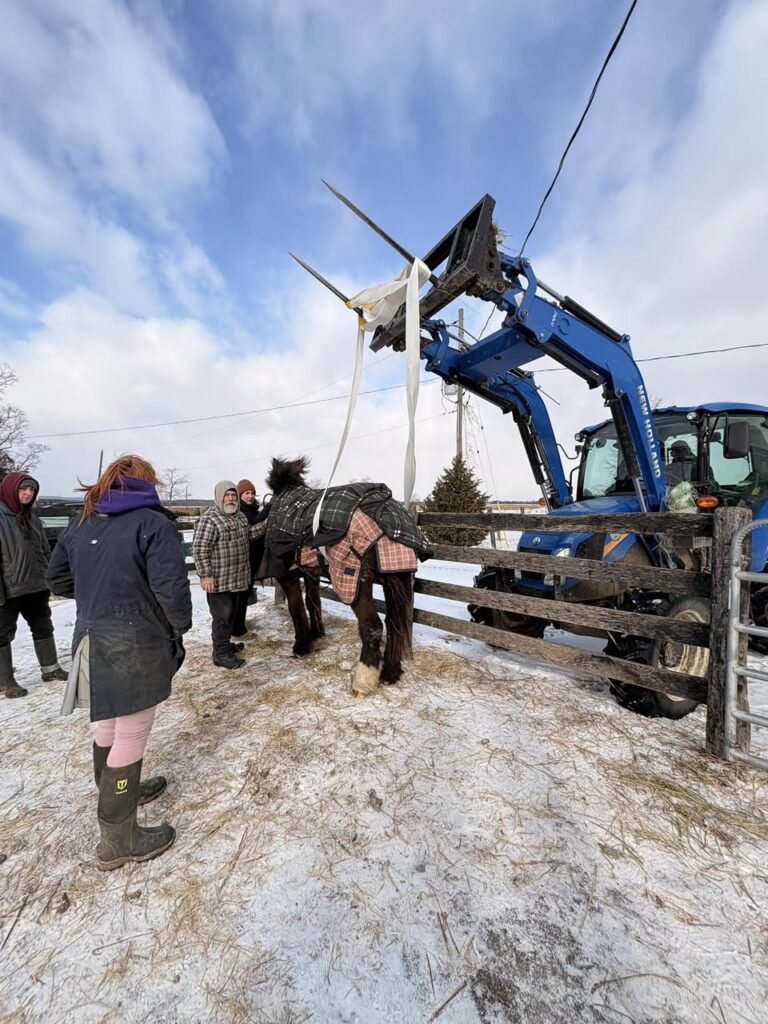 After taking an Equine Guelph Large Animal Rescue Workshop, Trinity Trotters invested in some of the recommended tools. The knowledge and tools came in handy during the rescue of Dottie. Photo credit: Tracey Abramovic