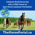 World horse day 2026