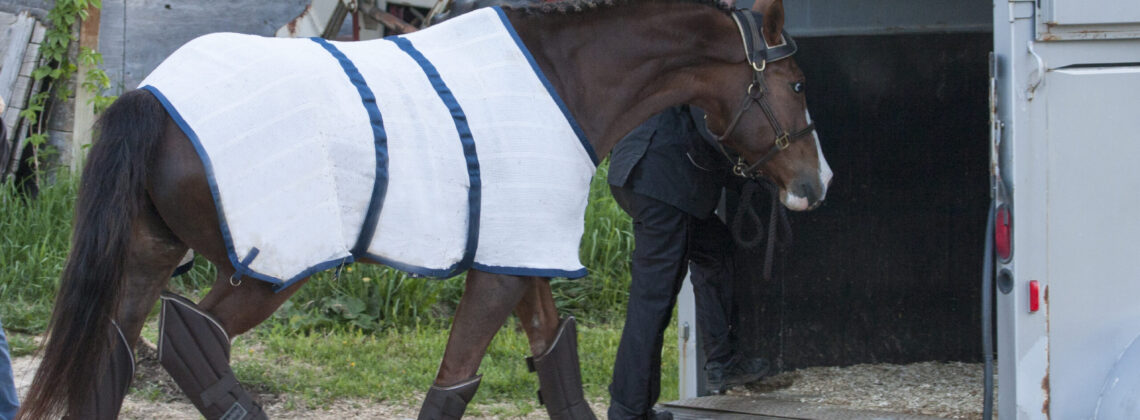 horse loading into trailer