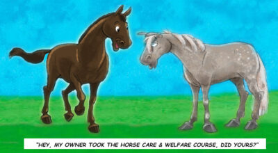 Horse Care & Welfare – Fall ’26