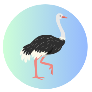 Ostrich