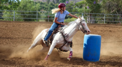Sport Horse Injury/Lameness Prevention & Care – Winter ’27