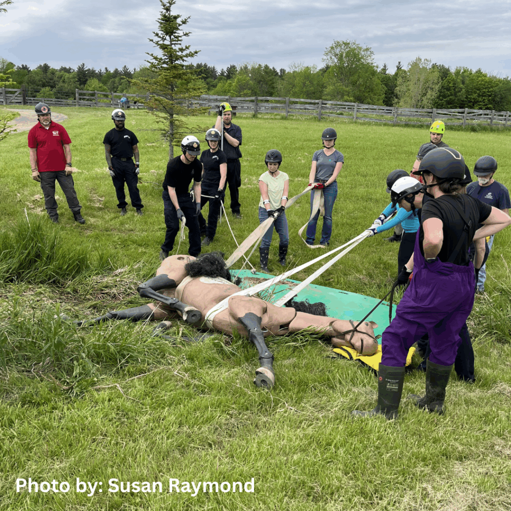 Equine Guelph Large Animal Emergency Rescue Training May 27 2026