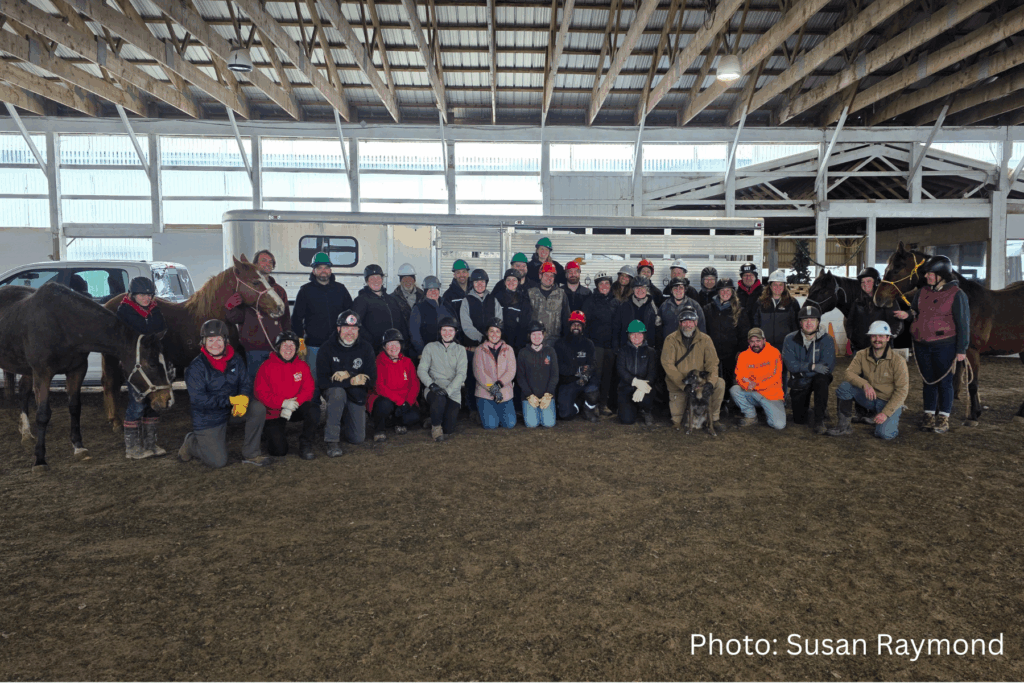 Equine Guelph Large Animal Emergency Rescue training in Port Perry, May 1, 2026